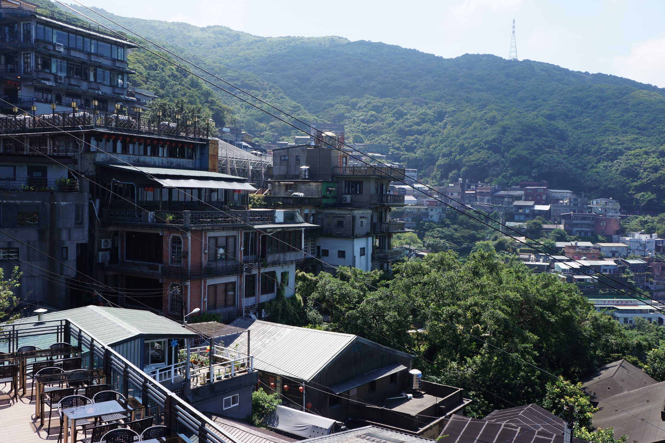 micio-website-events-and-insights-taiwan