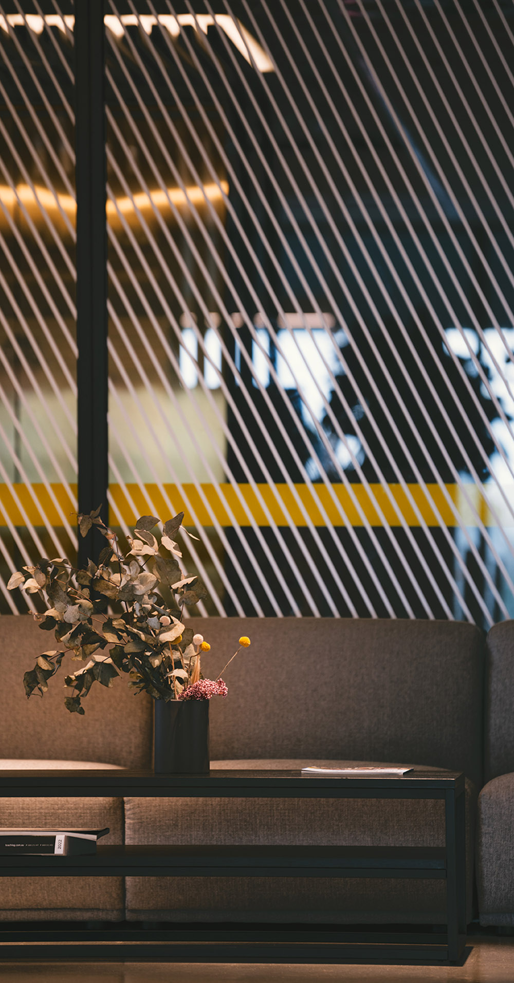 micio-insights-why-environmental-branding-matters-alchemy-construct-melbourne-office-signage-designer