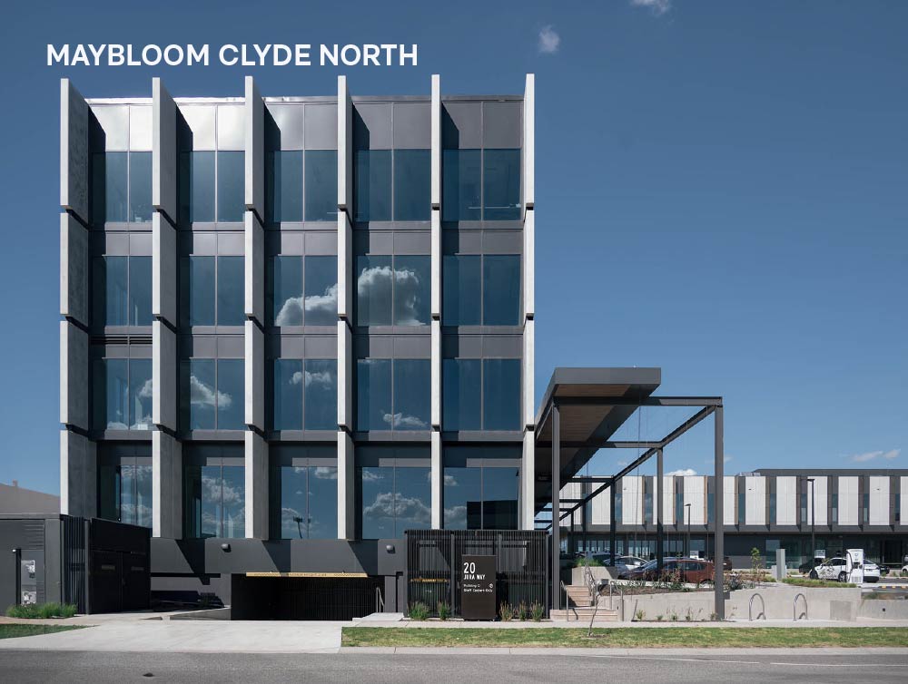 Portfolio Maybloom