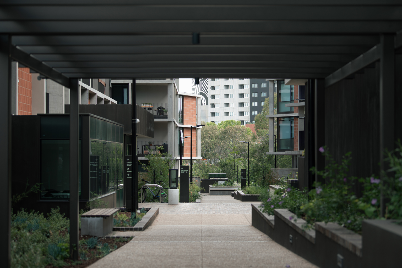 portfolio-merri-northcote